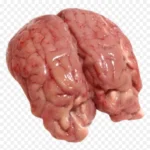 Goat Brain